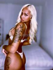 Shemale-XFridays-2380395 